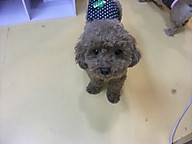 Dscf2657