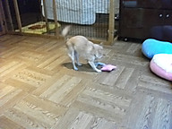 Dscf2663