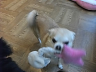Dscf2665
