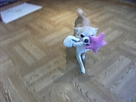 Dscf2666