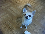 Dscf2671