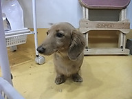 Dscf2677
